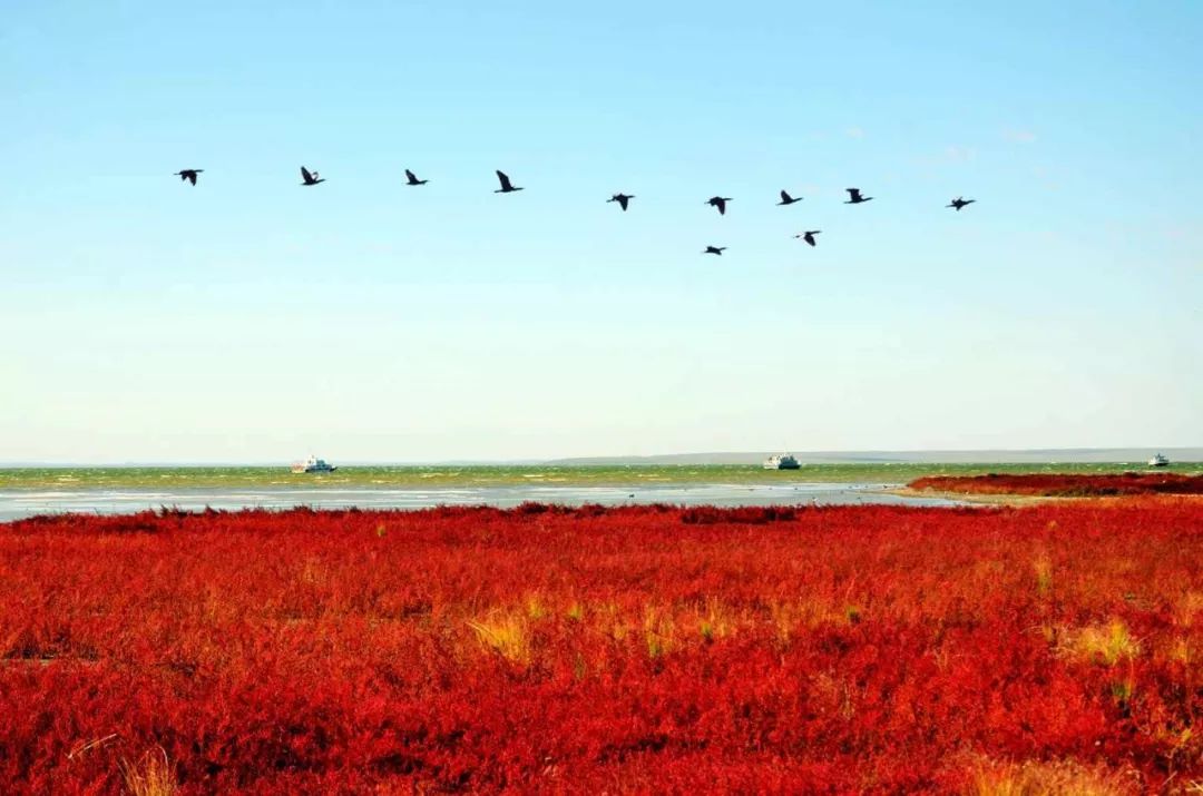 达里湖红海滩在哪里,达里湖冬捕