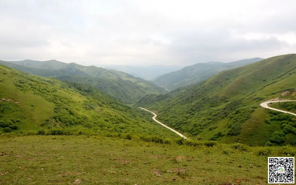 @天水的有关部门网民建议恢复天水耤河的“耤”字的本来写法