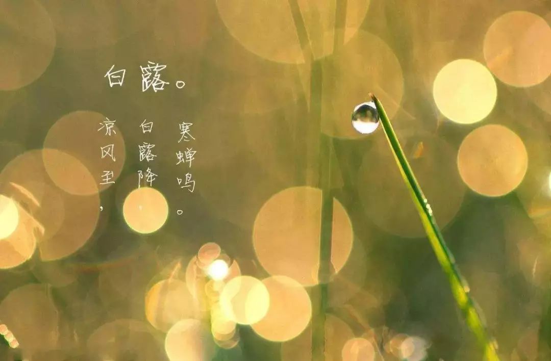 白露节气容易得什么病,24节气白露一夜清冷沐秋风
