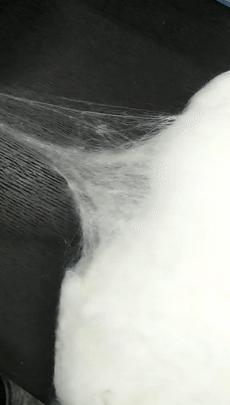 蚕丝被相关报道,桑蚕丝被曝光