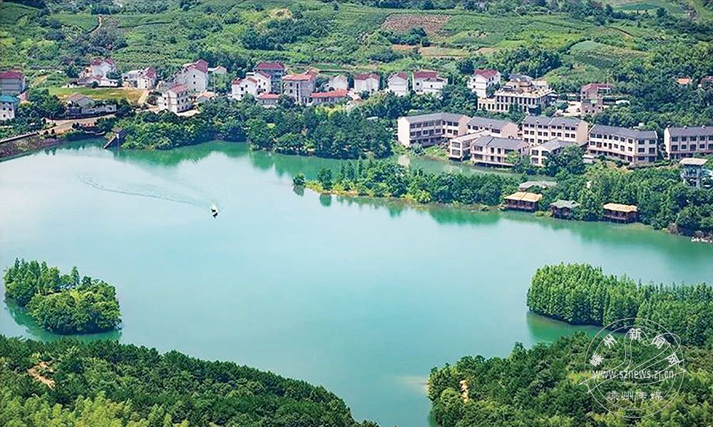 嵊州发展和改革,嵊州市经济发展