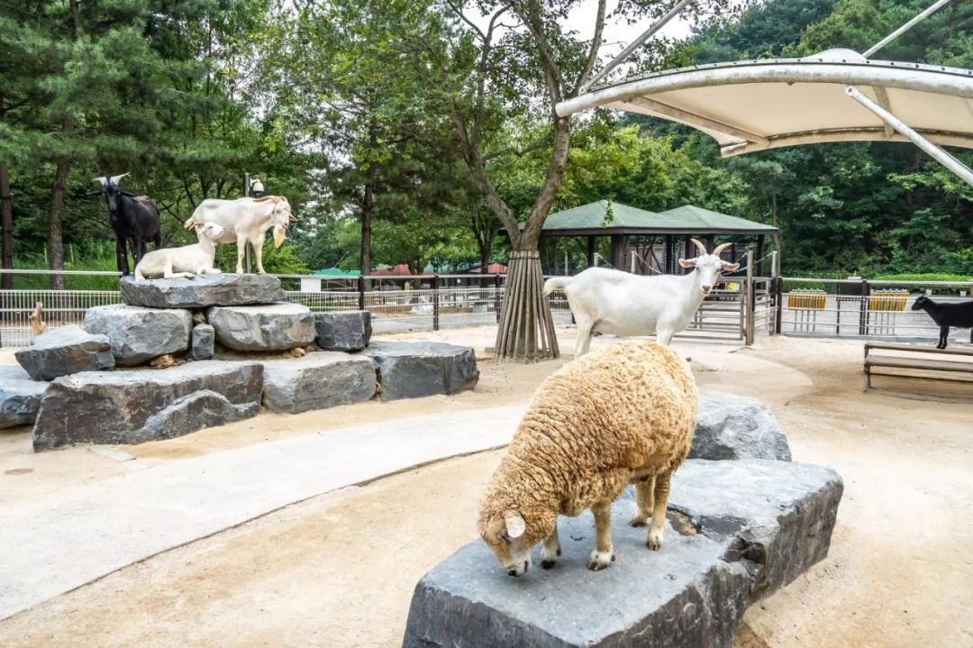 闊╁浗娣卞缇庨鏀荤暐,闊╁浗澶滄櫄缇庨鏀荤暐