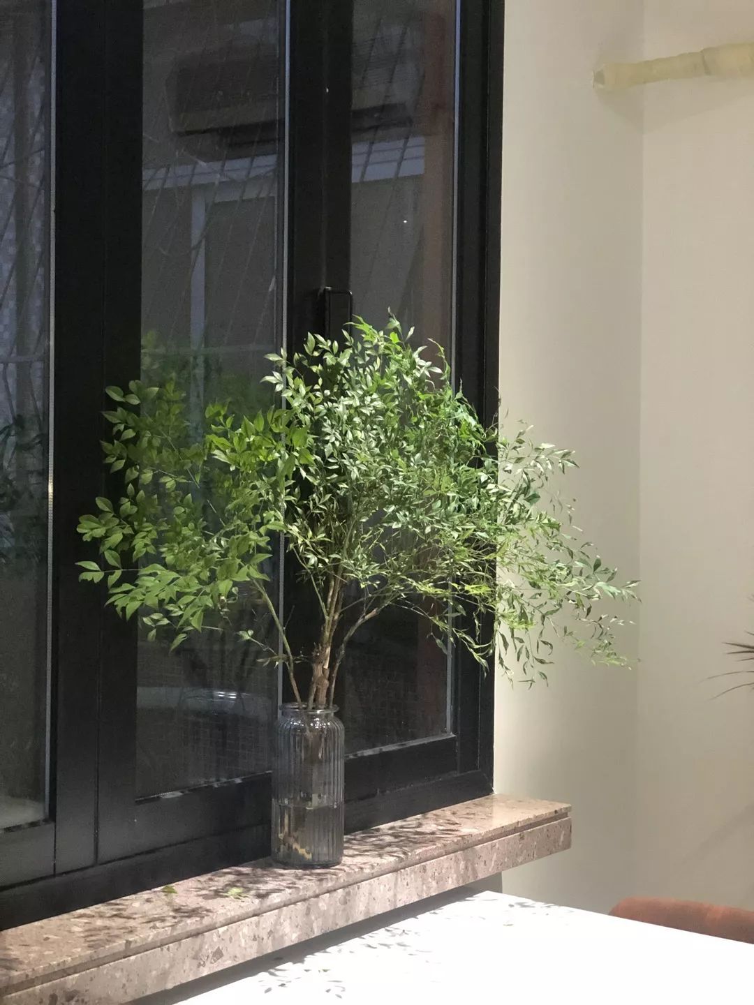 汕头|闹市取静，院子里飘出来虹吸的咖啡香气