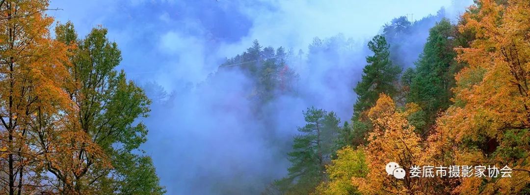 生态娄底美丽家园——【壮丽70年奋斗新时代】娄底首届风光摄影作品展览生态小品作品选登