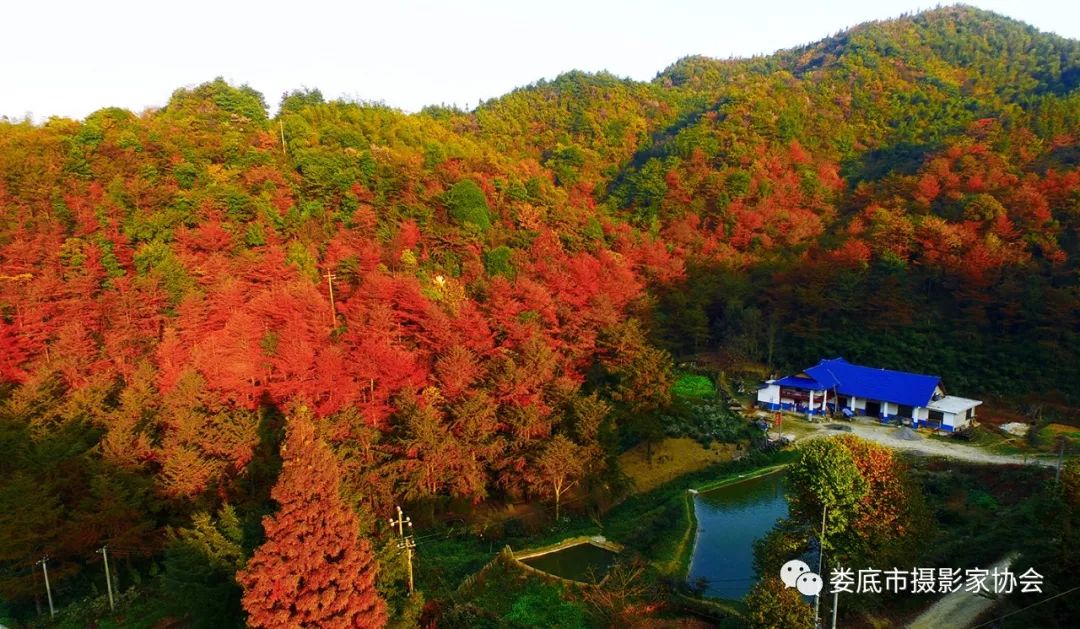 生态娄底美丽家园——【壮丽70年奋斗新时代】娄底首届风光摄影作品展览生态小品作品选登