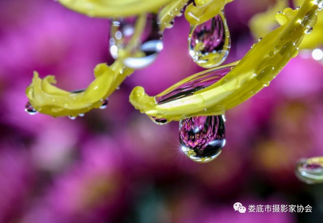 生态娄底美丽家园——【壮丽70年奋斗新时代】娄底首届风光摄影作品展览生态小品作品选登