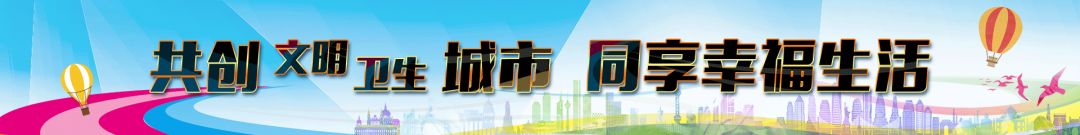 郎平探班中国女排视频,辽宁华君女排