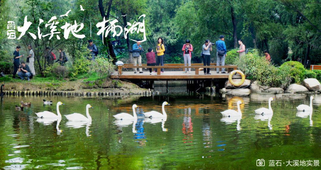 蓝石大溪地的房子值得买吗,蓝石大溪地最新房价