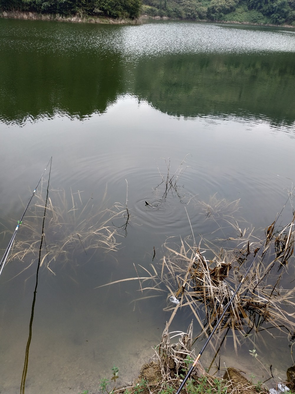 如何把握钓鱼时间,一天钓鱼最好时间段是中午吗