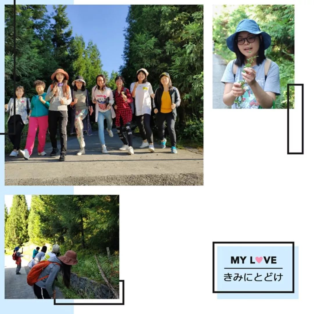 这个夏天，是你们唤醒了我心中的那粒种子