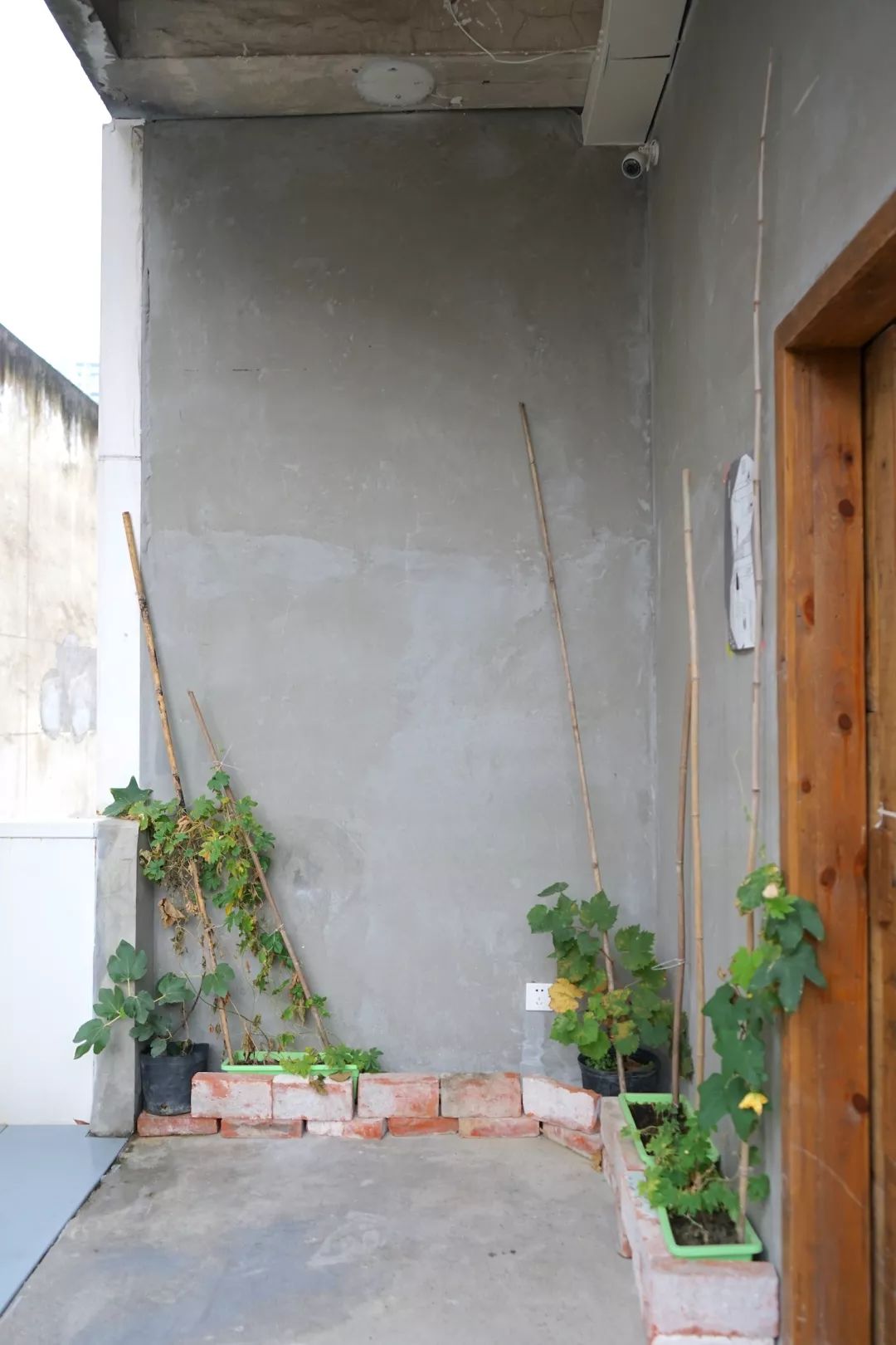 报告！东郊记忆的咖啡馆要抢我的钱