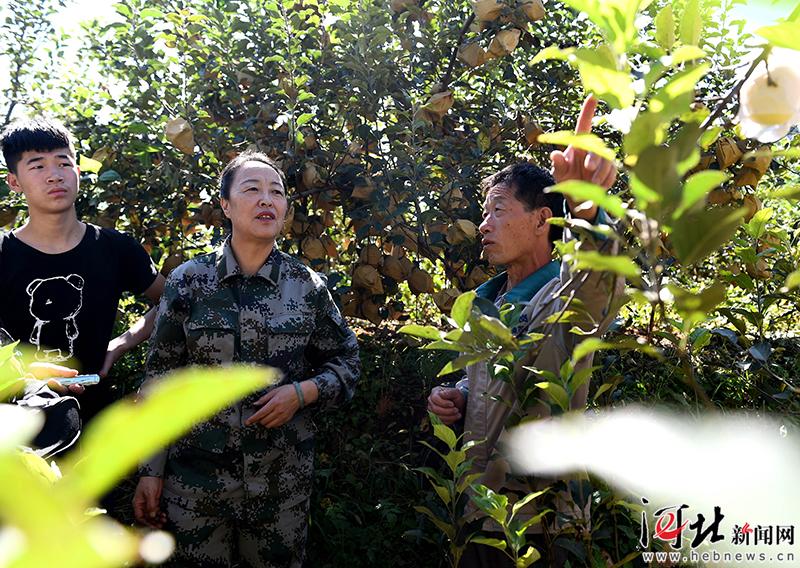 大河之北完整版视频,大河之北原唱完整版