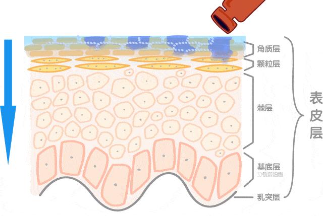 感觉用任何护肤品都不吸收啥情况,总觉得护肤品不吸收