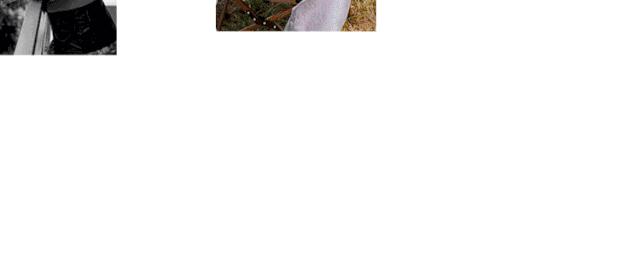 泫雅争议,泫雅掀短袖引起争议