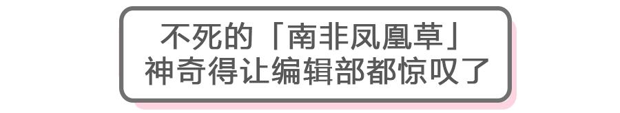 4款好用的贵妇面霜测评,2023贵妇面霜测评排行榜