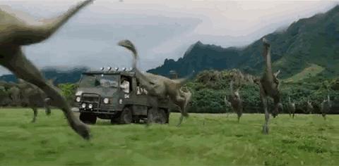 肇庆鼎湖新区体育中心中秋游园会,肇庆新区体育中心中秋游园会