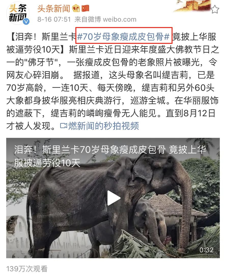 马戏团老虎逃脱后死亡,马戏团老虎脱逃最新结果