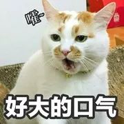 秋裤最新消息,秋裤多地降温10度