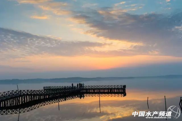 21年大闸蟹最佳食用时间,史上最全的大闸蟹食用指南