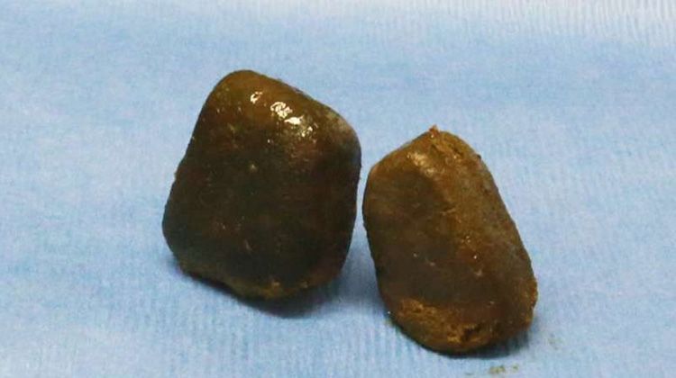 今年的搞笑诺贝尔奖,最搞笑的诺贝尔奖是什么