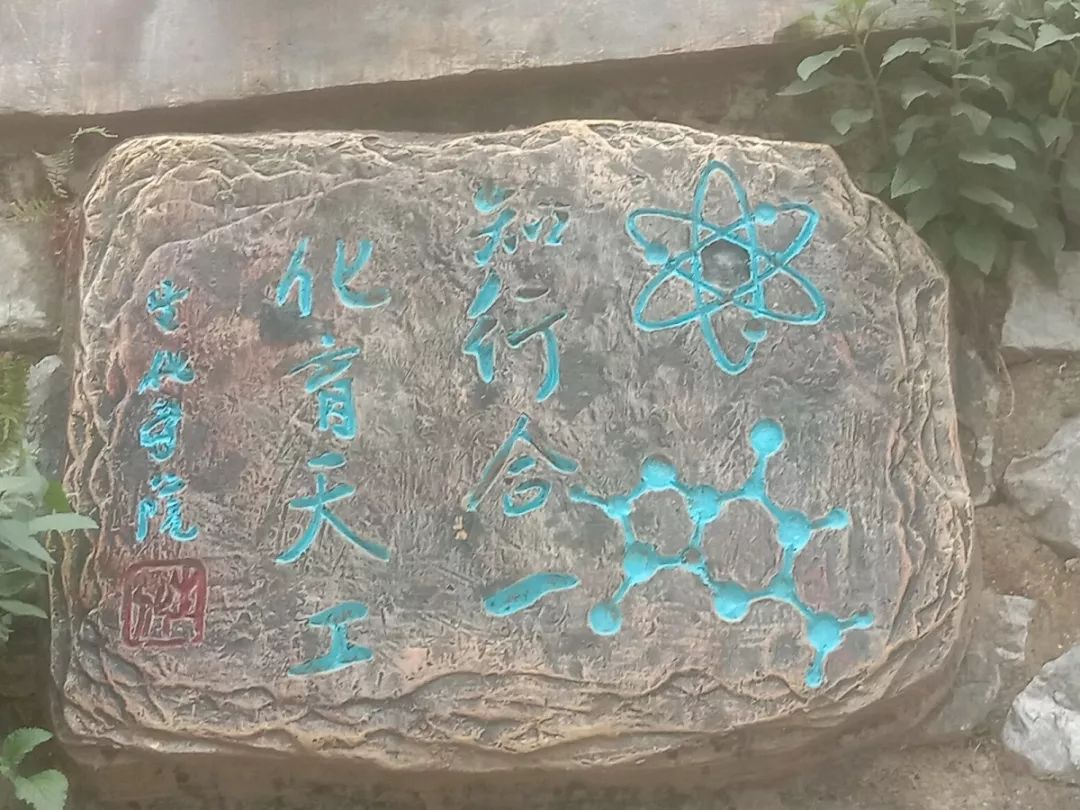 档案解密十二生肖,十二生肖天数配对解密