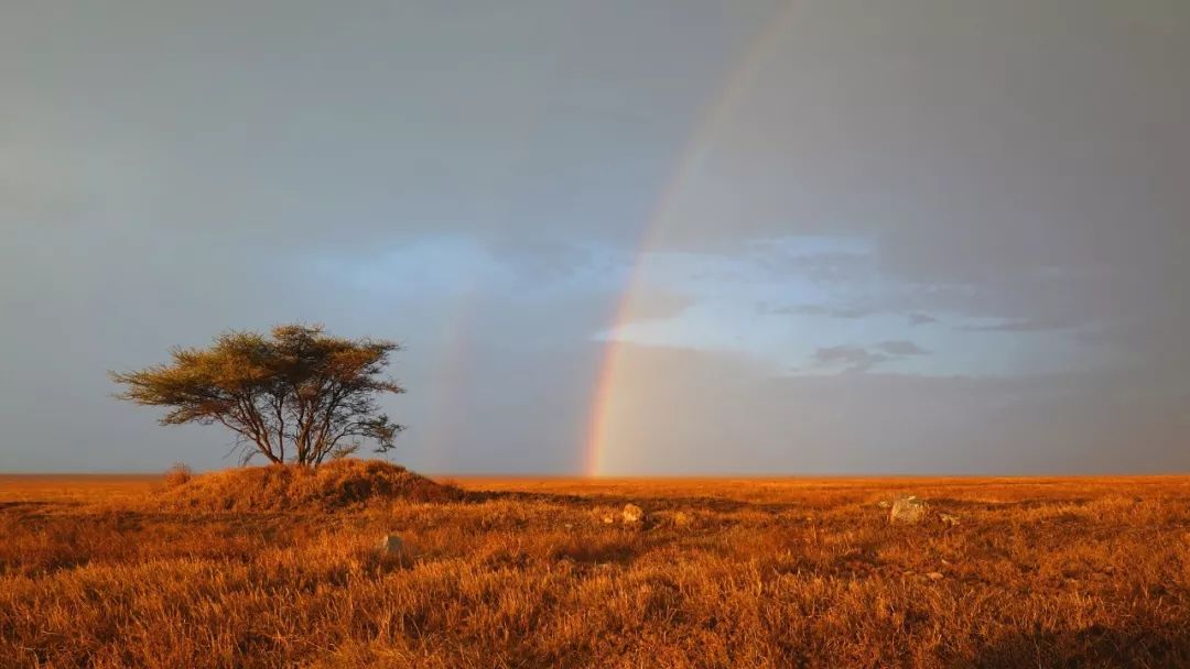 鍧︽灏间簹涓庡ぇ鑷劧,鍧︽灏间簹鑷劧椋庡厜鐪熺編