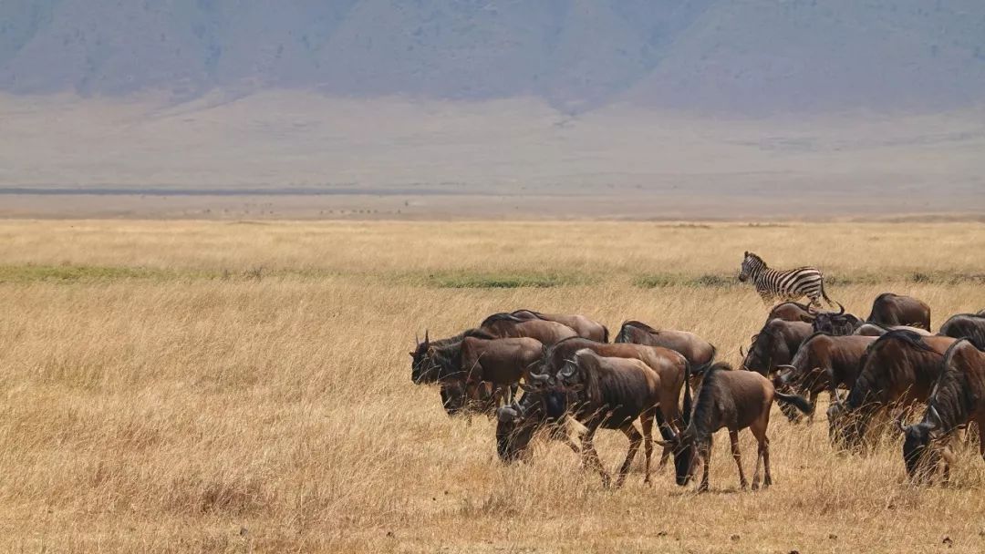 鍧︽灏间簹涓庡ぇ鑷劧,鍧︽灏间簹鑷劧椋庡厜鐪熺編