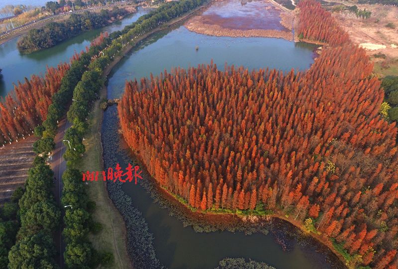 你好，我叫南昌！这是我的2019新名片