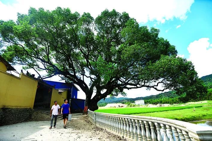 聚焦美丽乡村面貌提升,聚焦美丽乡村建设