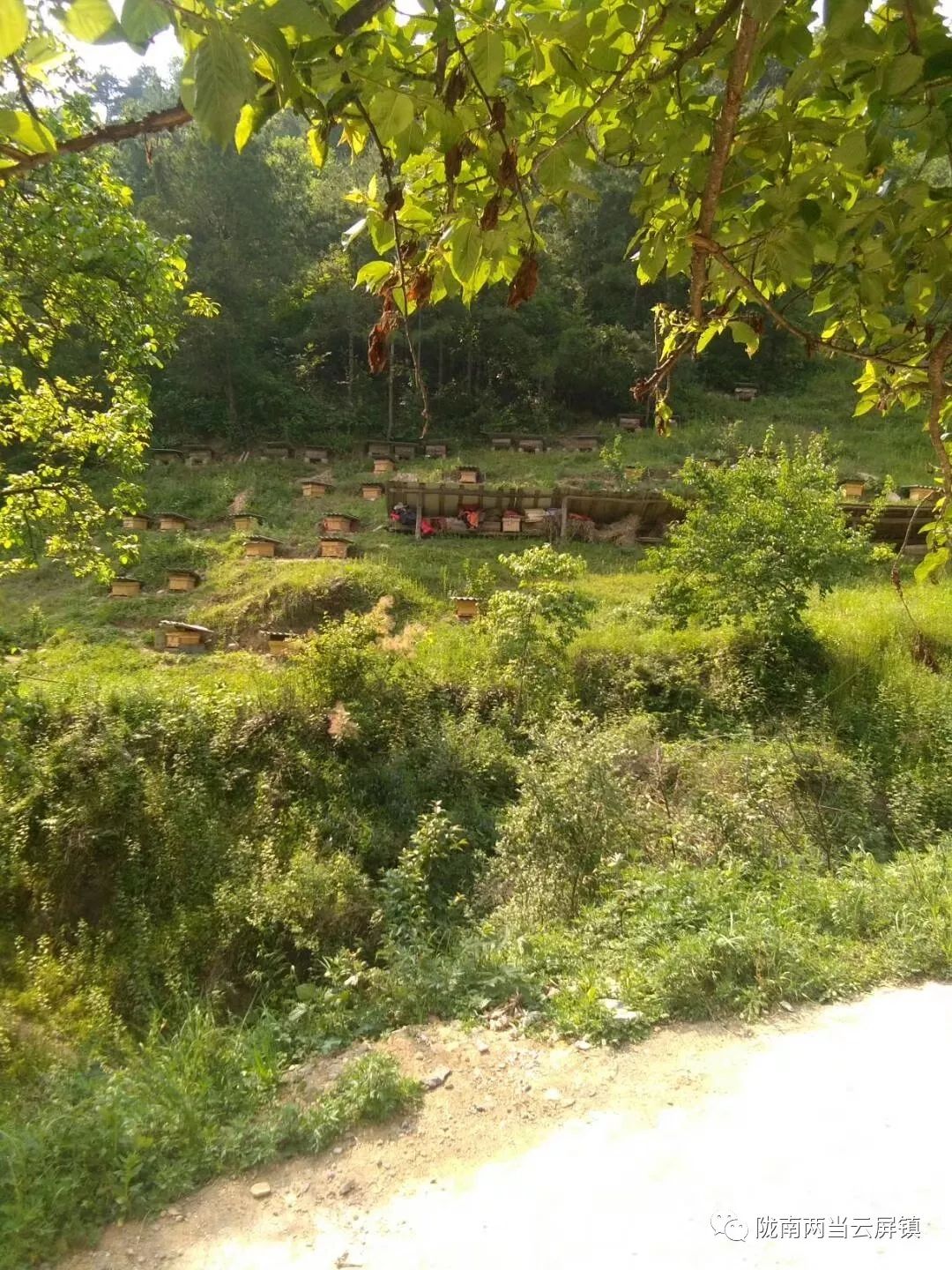 庆祝新中国成立70周年活动记录,庆祝新中国成立70周年视频