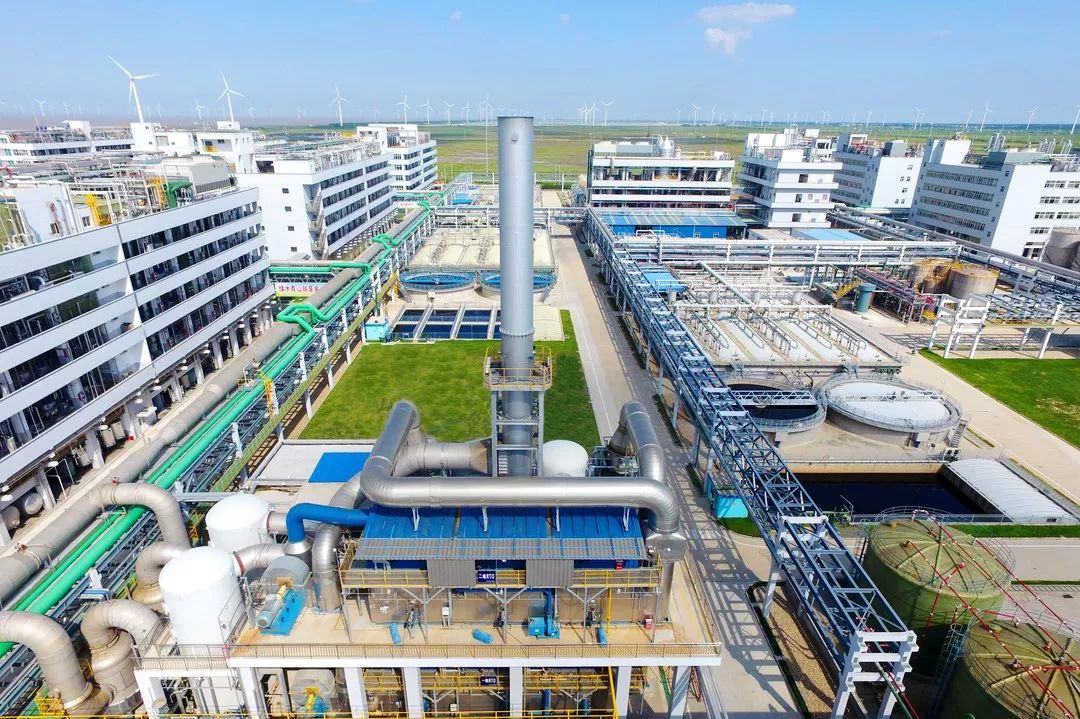 老马的一天600字记叙文骆驼祥子 (老马开心的一天)