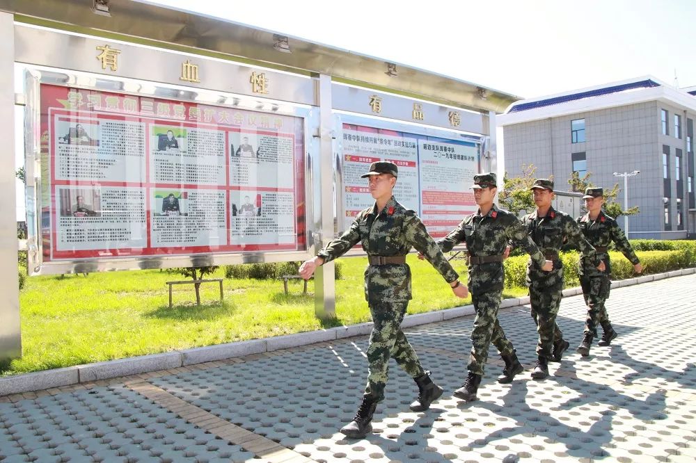 治愈强迫症看着都舒服,治愈特殊强迫症