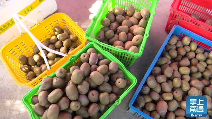 富民创业项目,现代农业增收富民