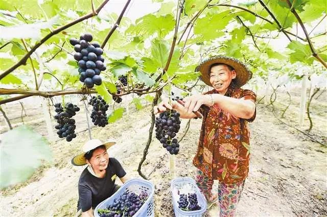 重庆市高品质城市,壮丽70年的辉煌成就