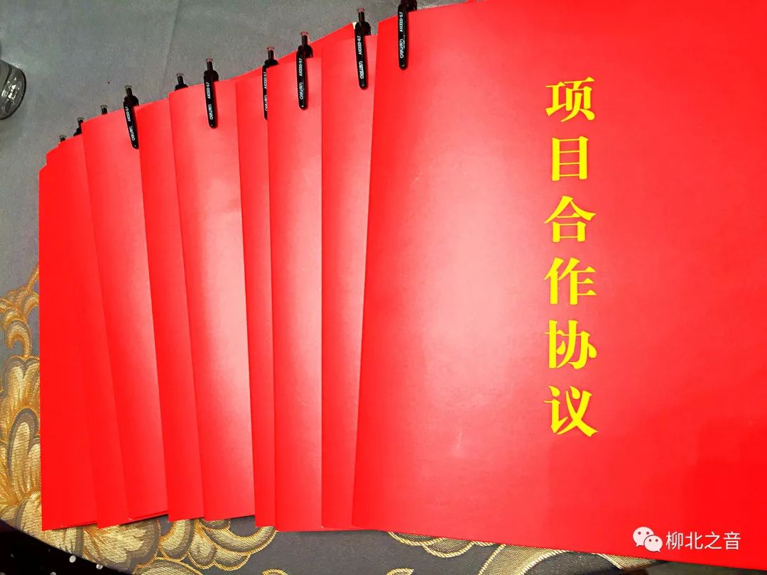 柳州东盟博览会签约什么项目,广西柳州柳城东盟博览会成功签约