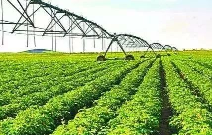 河北邯郸市魏县张二庄镇天气预报,河北邯郸市魏县疫情