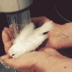 投影仪怎么合并,投影仪怎么完美匹配幕布