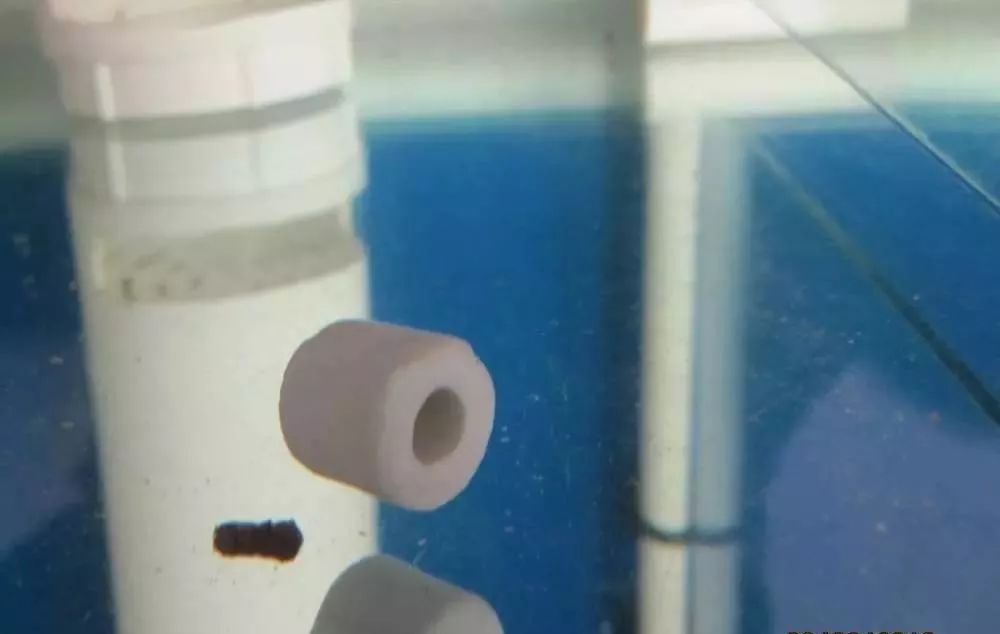 慢性肠炎用中医还是西医治疗好,肠炎食疗最简单方法