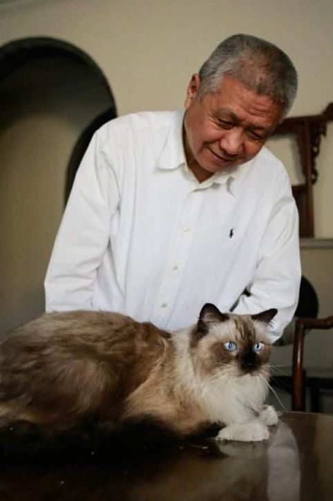 古墓被盗留下的国宝,古墓被盗一口棺材