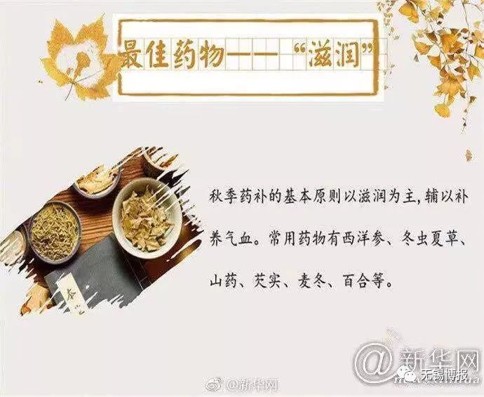 社区秋季养生知识分享,共享中医养生