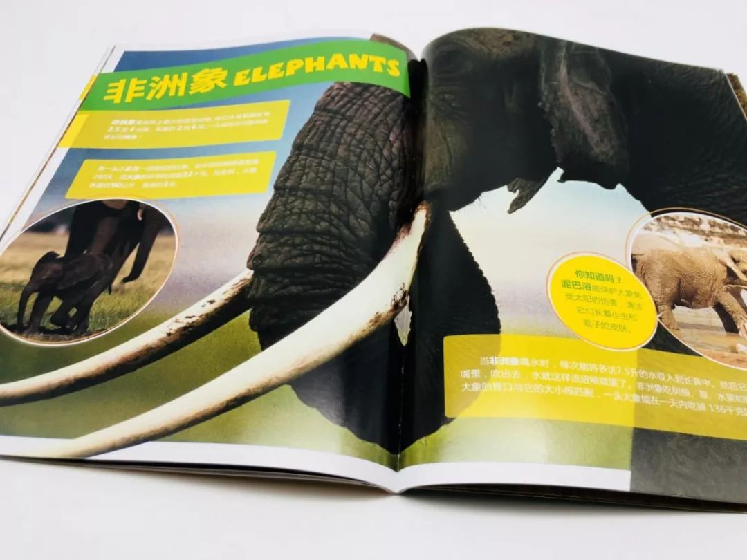 国产玩具品牌,玩具品牌国产