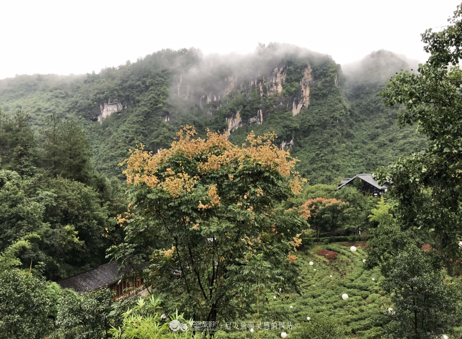 张家界森林公园旅游住宿,张家界森林公园自由行住宿推荐