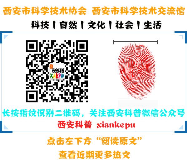 大腿肌肉严重萎缩,肌肉细胞萎缩