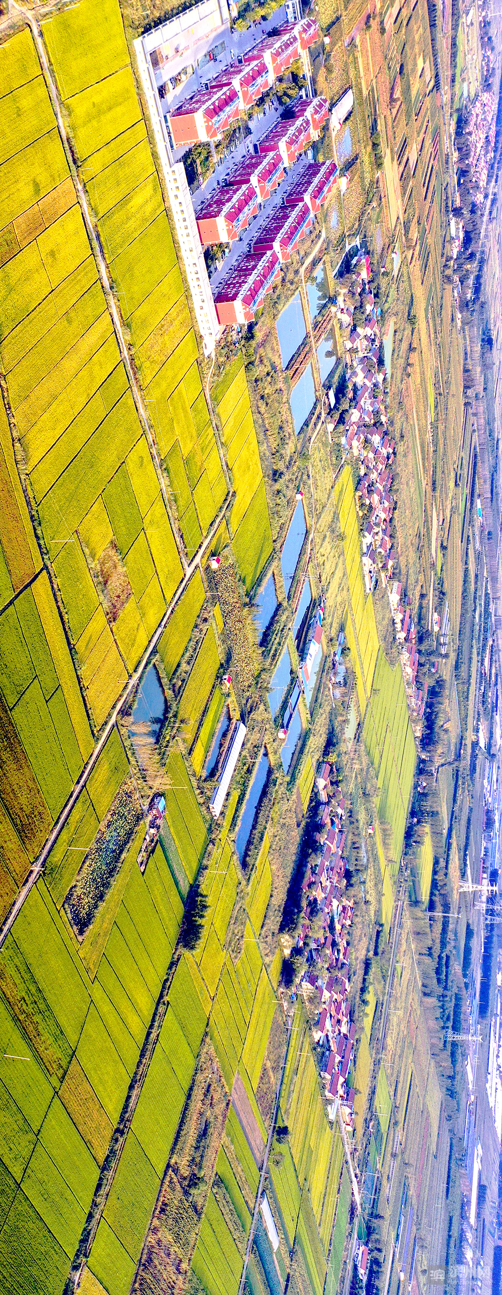 飞越滨州高新区：改革先行区厚植沿黄“城市之肺”