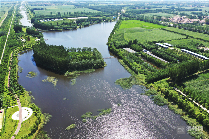 飞越滨州高新区：改革先行区厚植沿黄“城市之肺”