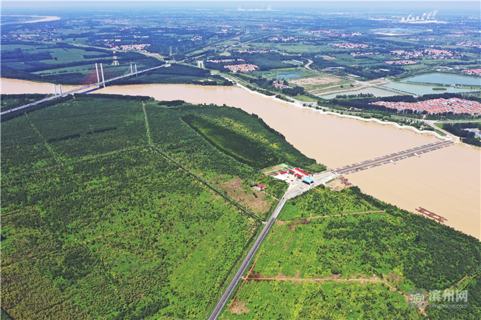 飞越滨州高新区：改革先行区厚植沿黄“城市之肺”
