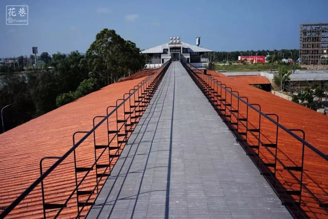 泉州的海和厦门的海哪个好看,泉州的海边美不