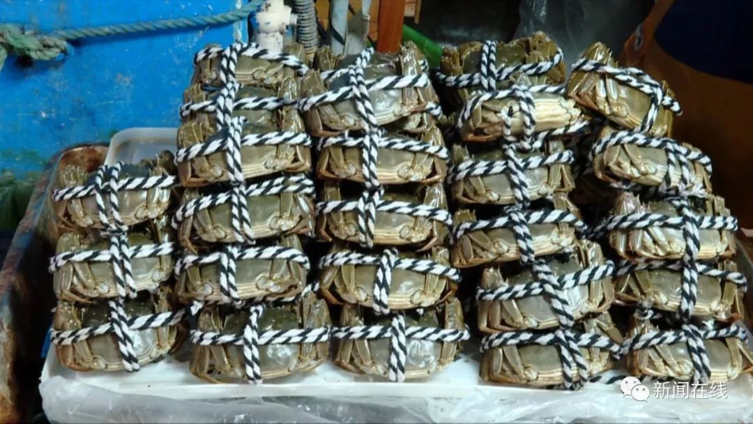 阳澄湖大闸蟹啥时候开捕,阳澄湖大闸蟹开捕了吗