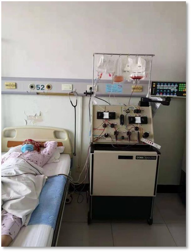 捐献干细胞详细过程感谢信,造血干细胞移植合集