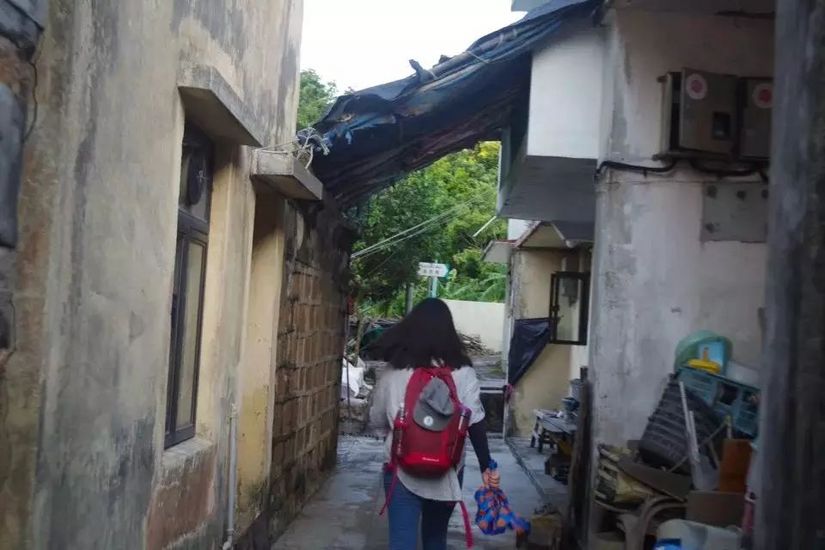 为了泳滩,遇上稔子和山日